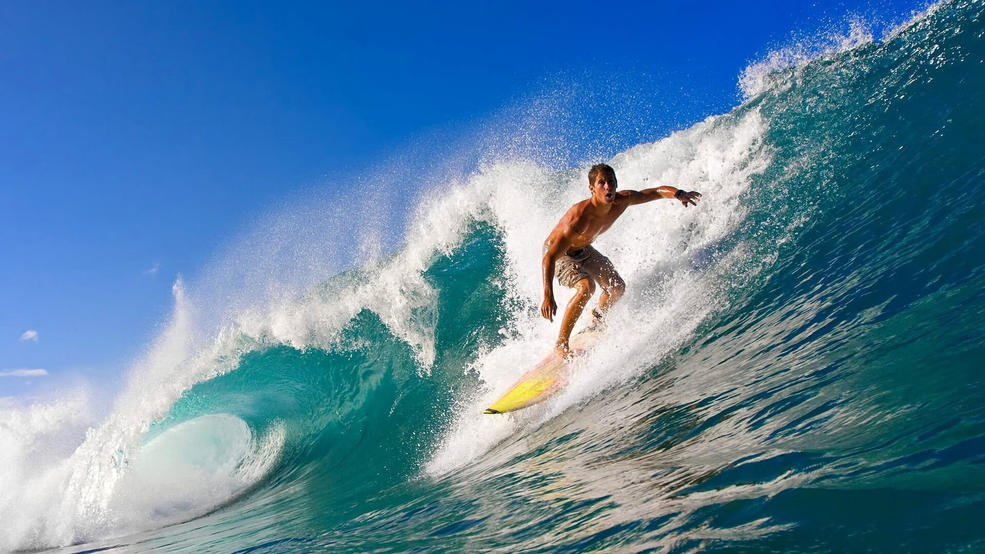 开云app下载-100米自由泳选手起跑爆发力突出，100米自由泳比赛规则