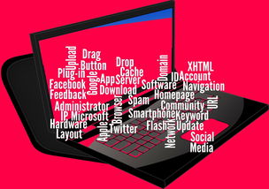 开云体育移动版-CBA开展球员社交媒体管理课程提高职业素养，运动员社交媒体